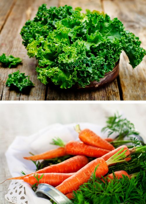 Roasted Vegetable salad Kale & Carrots