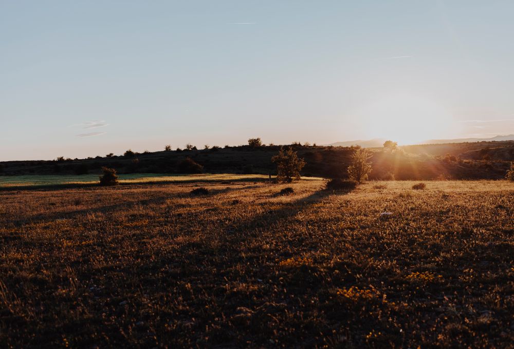 Exploring Vacant Land