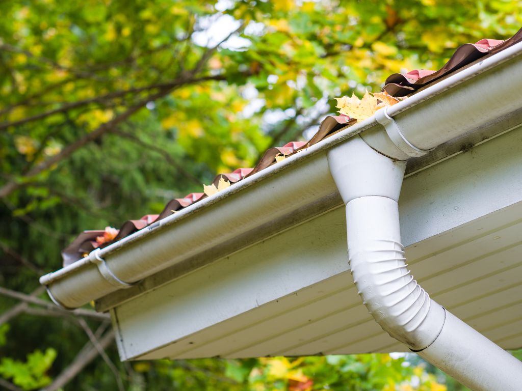 Fall Clean-Up Gutters