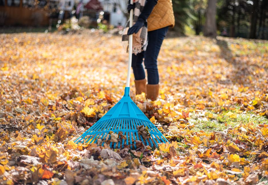 Fall Maintenance Tips