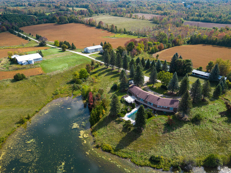 Blue Mountains farmland for sale