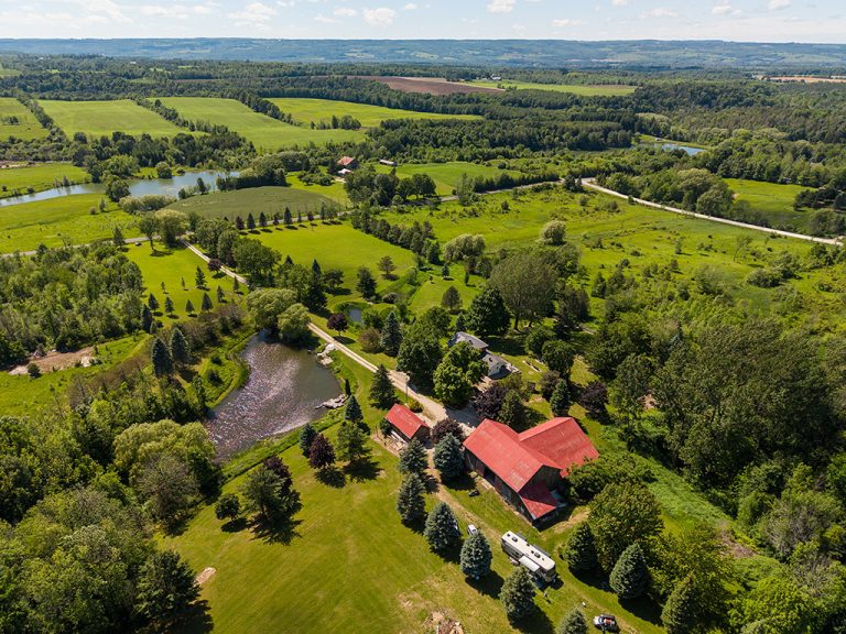 Blue Mountains farmhouse